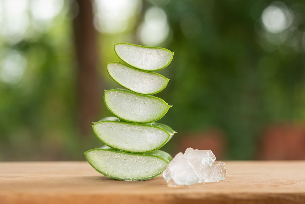 The Versatility of Aloe Vera: From Skincare to Digestive Health