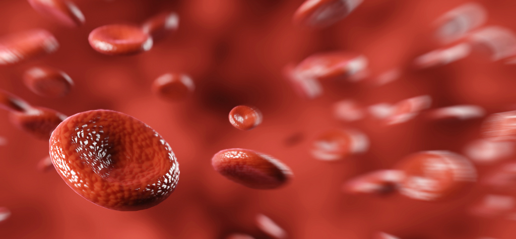 Ayurvedic Hemoglobin Hacks: Your Roadmap to Healthy Blood Levels