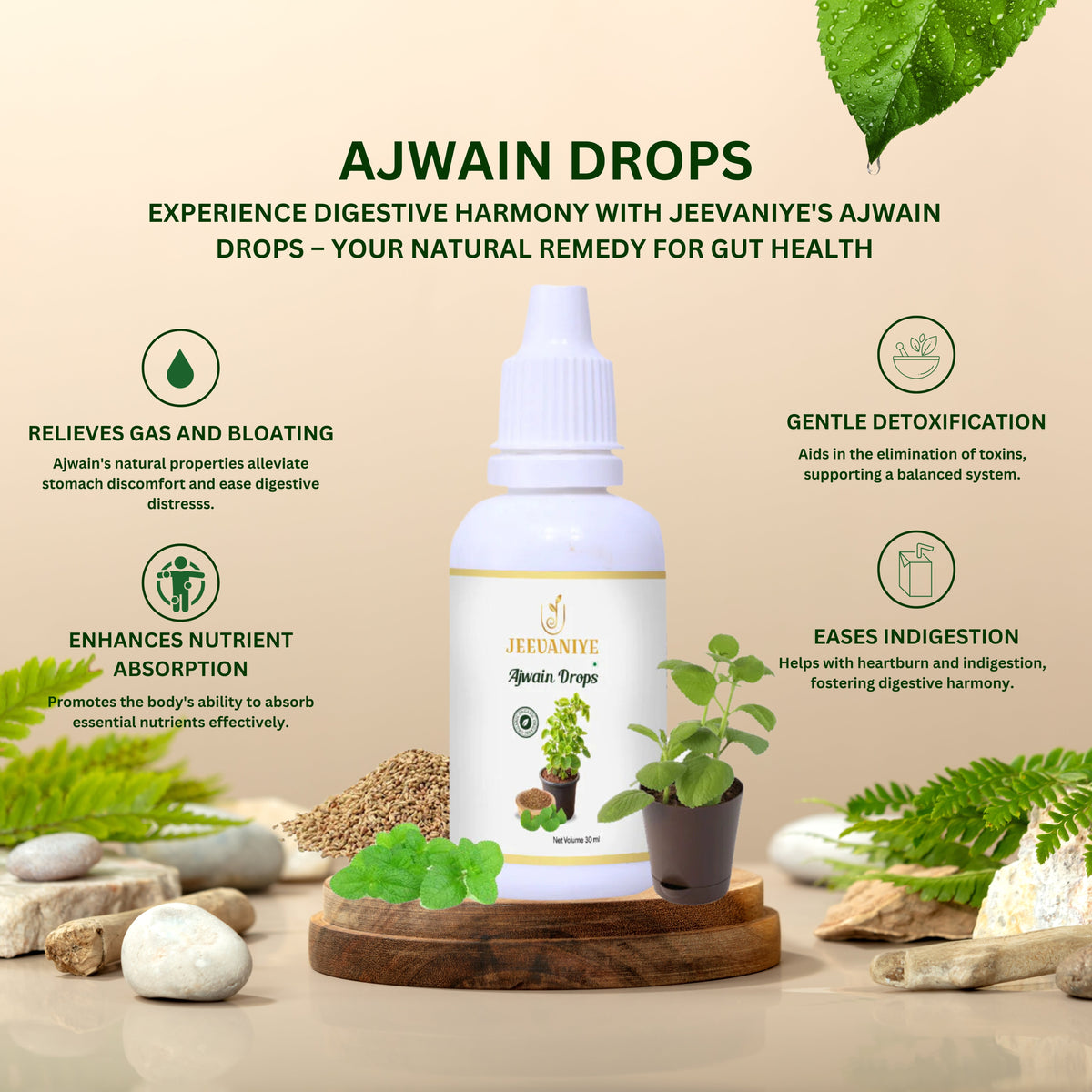 Ajwain Drops - Jevaaniye